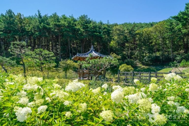 [Gyeongsangbuk-do] Waldpark Unjesan (운제산산림욕장)
