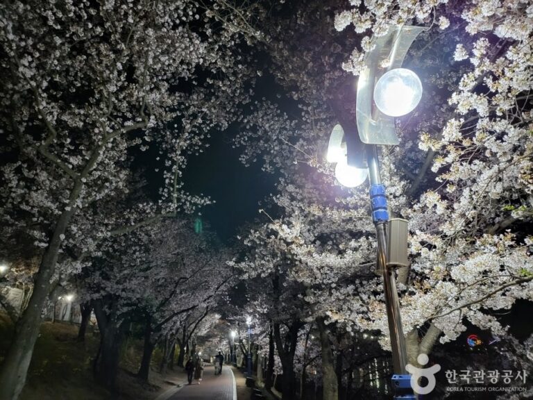 [Gyeongsangbuk-do] See Bomunho (보문호)