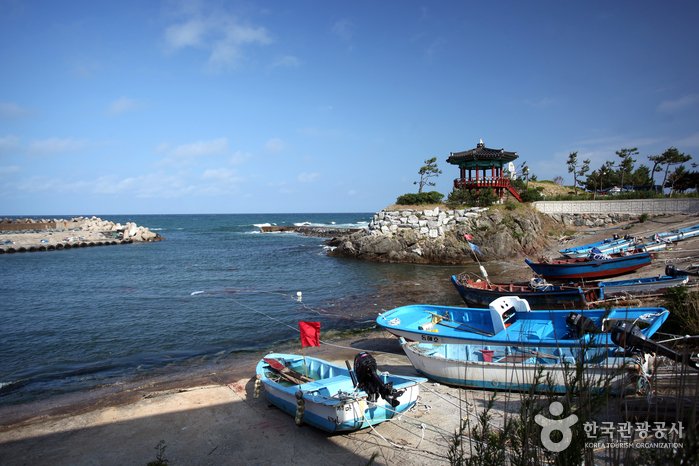 [Gyeongsangbuk-do] Schneekrabbendorf Daege Wonjo (대게원조 차유어촌체험마을)