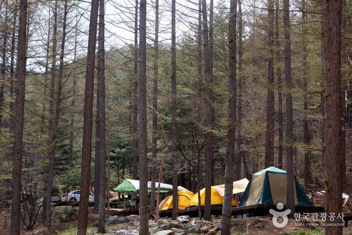 [Gyeongsangbuk-do] Erholungswald Cheongoksan (국립 청옥산자연휴양림)