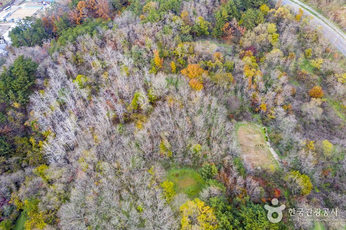[Gyeongsangbuk-do] Meerespark Samsa (Küstenweg Samsa) (삼사해상공원 (삼사해상산책로))