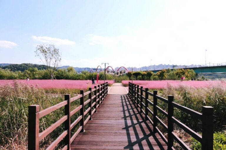 [Gyeongsangbuk-do] Grasswon (그라스원)