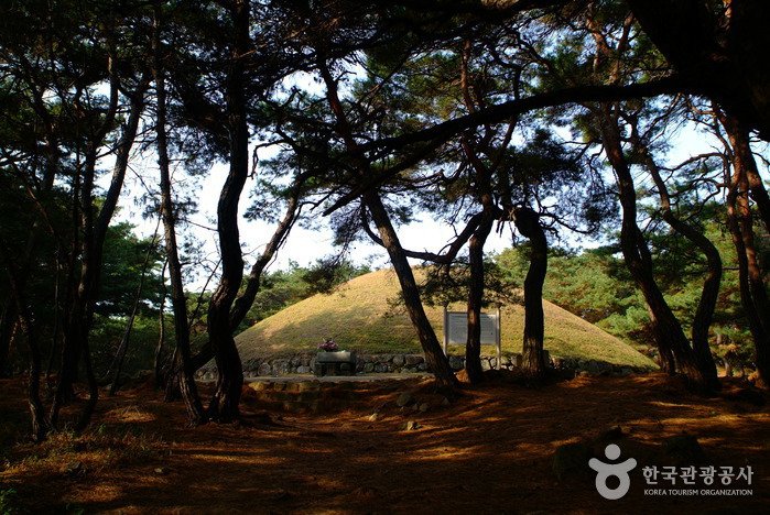 [Gyeongsangbuk-do] Grab von Königin Seondeok (경주 선덕여왕릉)