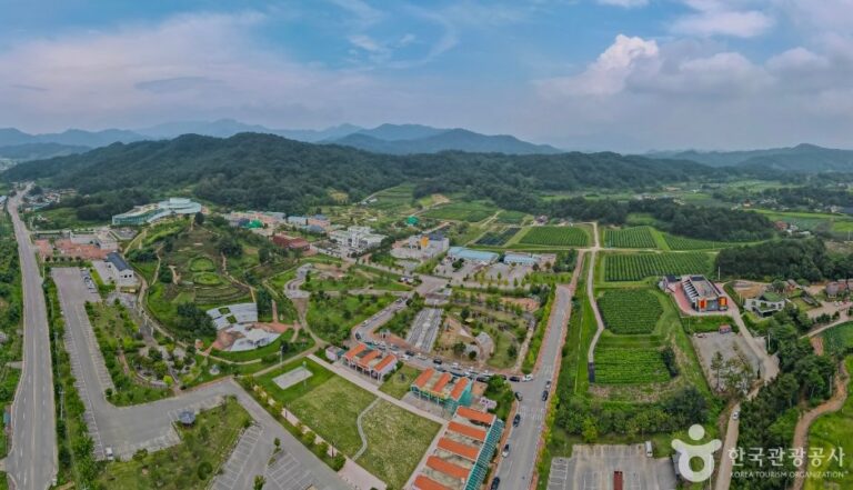 [Gyeongsangbuk-do] Seideninsektenanlage (잠사곤충사업장)