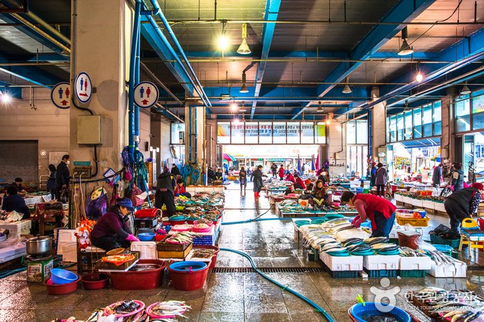 [Gyeongsangbuk-do] Jukdo-Markt Pohang (포항 죽도시장)