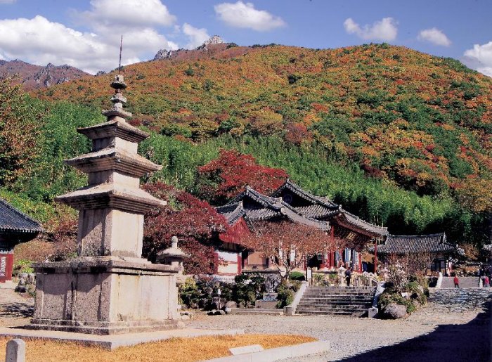 [Gyeongsangnam-do] Tempel Pyochungsa (표충사(밀양))