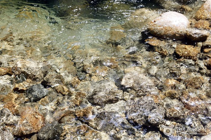 [Gyeongsangnam-do] Tal Chilseongyegok (칠선계곡(지리산))