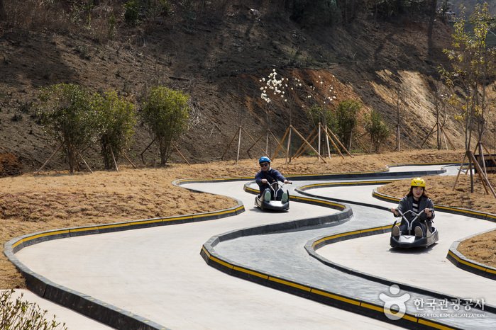 [Gyeongsangnam-do] Skyline Luge (스카이라인 루지)