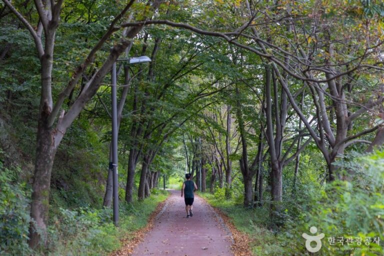 [Jeollabuk-do] Weg Baramssoeneun-gil (바람쐬는길)