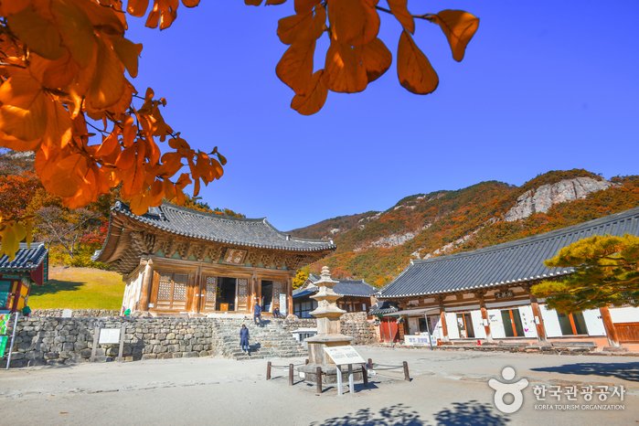 [Jeollabuk-do] Tempel Naesosa (내소사 (부안))