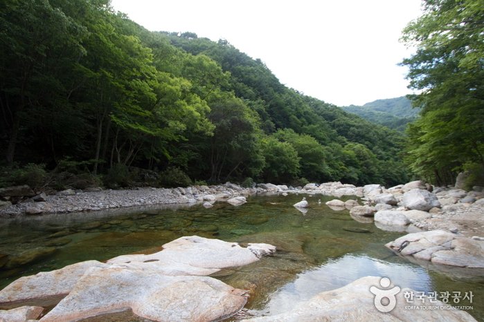 [Jeollabuk-do] Tal Baemsagolgyegok (뱀사골계곡)