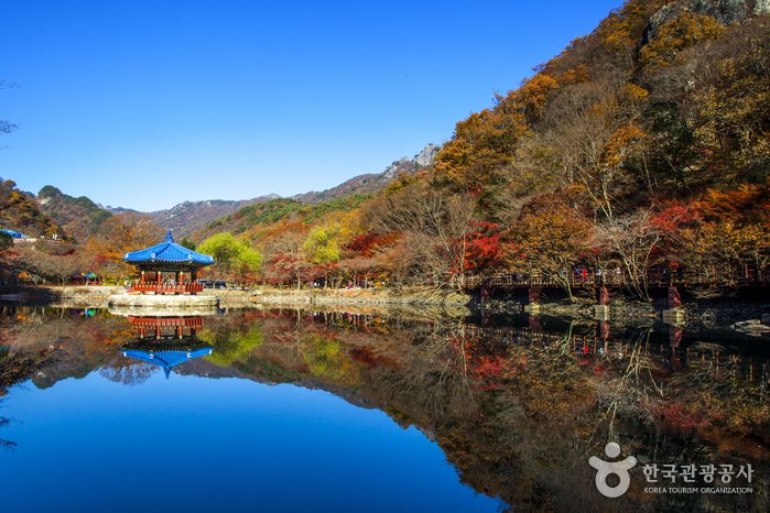 [Jeollabuk-do] Pavillon Uhwajeong (우화정(내장산))