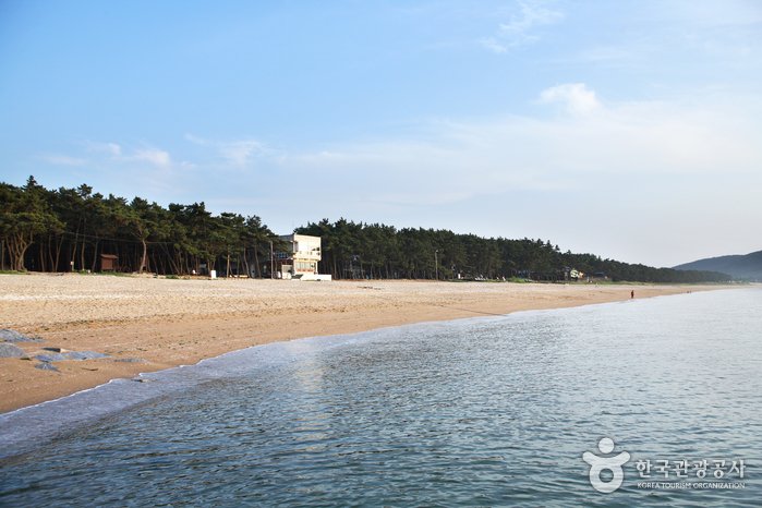 [Jeollabuk-do] Strand Gosapo (고사포해변)