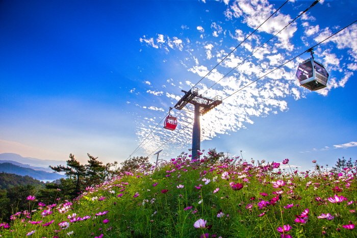 [Jeollanam-do] Küstenseilbahn Mokpo (목포 해상케이블카)