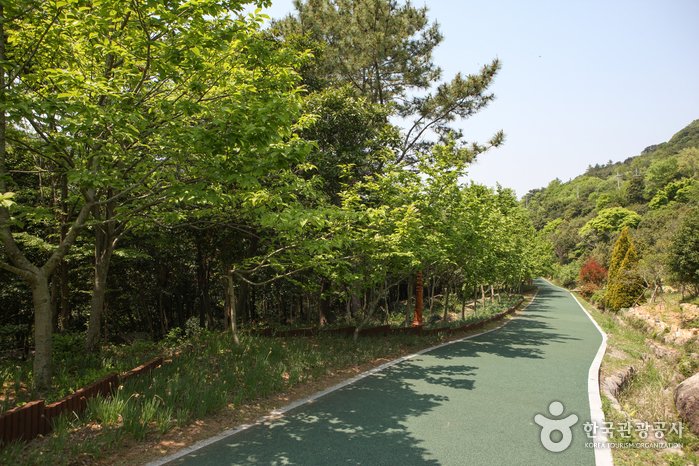 [Jeollanam-do] Wando Arboretum (완도수목원)