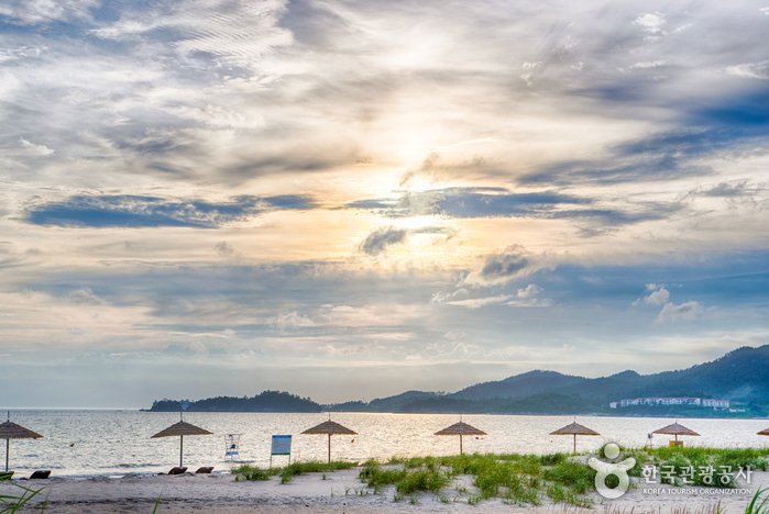[Jeollanam-do] Strand Jeungdo Ujeon (증도 우전해수욕장)