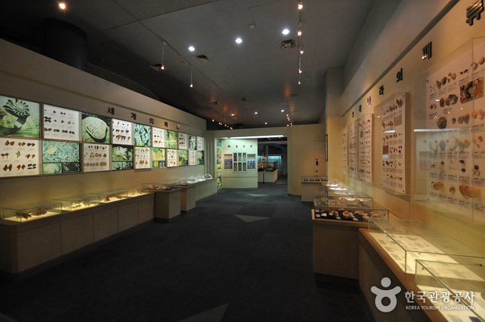 [Jeollanam-do] Wissenschaftliches Museum für Meer und Fischerei (전라남도해양수산과학관)