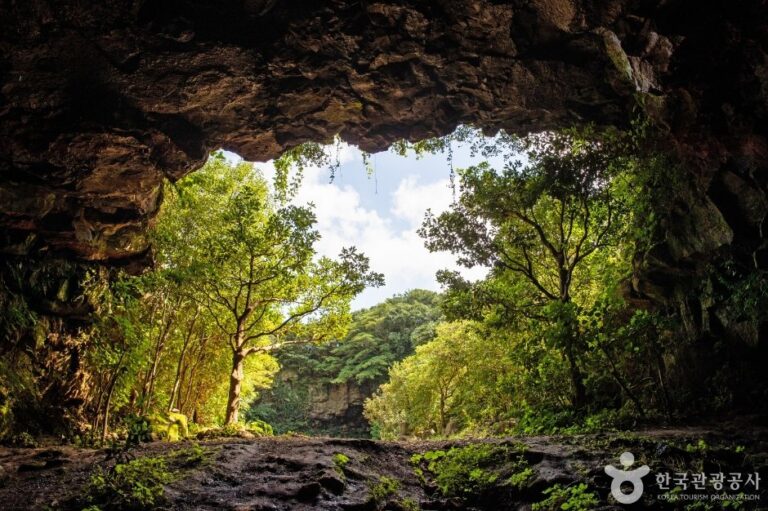 [Jeju] Grünteehöhle Seongeup (성읍녹차동굴)