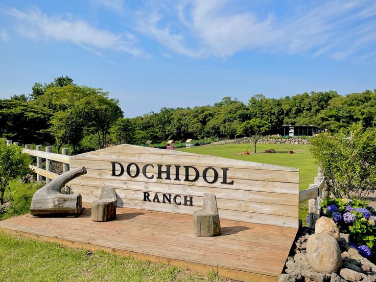 [Jeju] Alpakafarm Dochidol (도치돌 알파카목장)