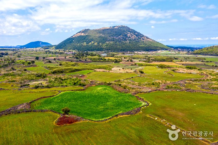 [Jeju] Berg Darangswioreum (Gipfel Wollangbong) (다랑쉬오름(월랑봉))