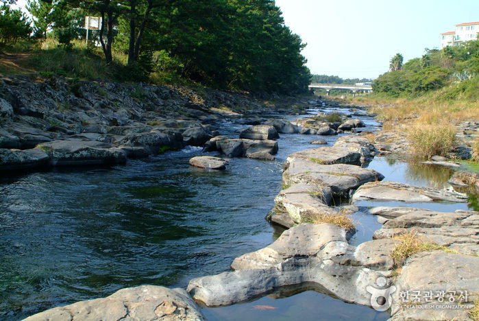 [Jeju] Fluss Gangjeongcheon (강정천)