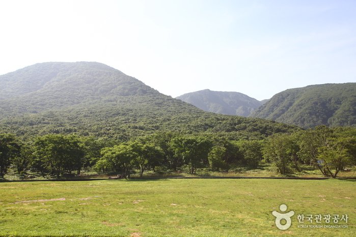 [Jeju] Hallasan Trekking (한라산 트레킹)